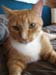 20100218weasley5152