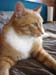 20100218weasley5153