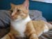 20100218weasley5154