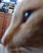 20100218weasley5156