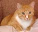 20100218weasley5158