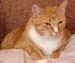 20100218weasley5159