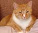 20100218weasley5160
