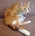 20100218weasley5163