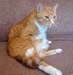 20100218weasley5164