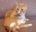 20100218weasley5165