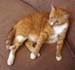 20100218weasley5166