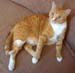 20100218weasley5167