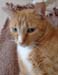 20100218weasley5174
