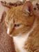 20100218weasley5175