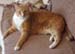 20100218weasley5177