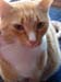 20100218weasley5182