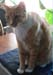20100218weasley5184