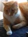 20100218weasley5185