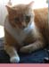 20100218weasley5186