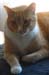 20100218weasley5188