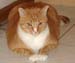 20100218weasley5193