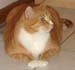 20100218weasley5195