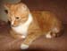 20100218weasley5198
