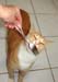 20100219weasley5204