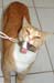 20100219weasley5205