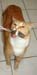 20100219weasley5208