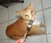 20100219weasley5210