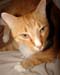 20100219weasley5215