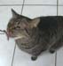 20100228zach5255