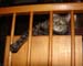 20100228zach5267