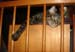 20100228zach5268