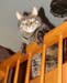 20100228zach5269