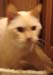 20100506johnny5363