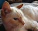 20100506johnny5376