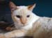 20100506johnny5378