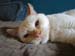 20100506johnny5389