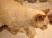20100507johnny5413