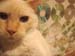 20100507johnny5414