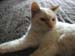20100508johnny5425