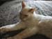 20100508johnny5427