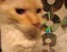 20100509johnny5432