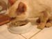 20100510johnny5448