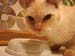 20100510johnny5469g
