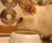 20100510johnny5470