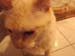 20100510johnny5501
