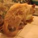 20100510johnny5511