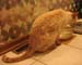 20100510johnny5512