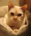 20100510johnny5538g