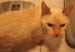 20100510johnny5539