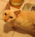 20100510johnny5542